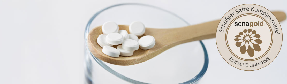 Schüßler Salze Komplexmittel