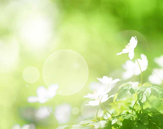 Fermentierte Getränke & Lebensmittel