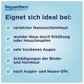BEPANTHEN Augen- und Nasensalbe