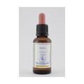 BACHBLÜTEN Aspen Healing Herbs Tropfen