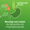 REFLUTHIN bei Sodbrennen Kautabletten Minze
