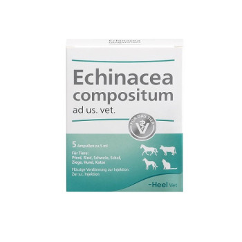 ECHINACEA COMPOSITUM ad us.vet.Ampullen
