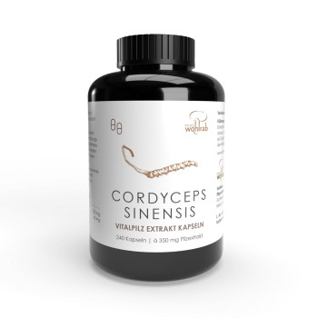 CORDYCEPS SINENSIS Extrakt Konventionell Kapseln