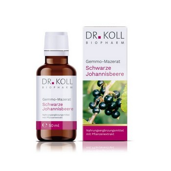 GEMMO Mazerat schwarze Johannisbeere Dr.Koll Ribes